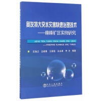 奥灰特大突水灾害快速治理技术——峰峰矿区实例研究/王铁记,白峰青,王君现,关永强,李冲