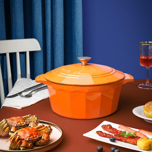 乐美雅- moltobella珐琅炖锅25cm-幻彩臻钻 商品图4