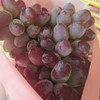 【9.9元2斤±50g】茉莉香葡萄（1500120） 商品缩略图2