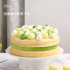 玫珑蜜瓜茉莉千层，可选6/8英寸 商品缩略图1