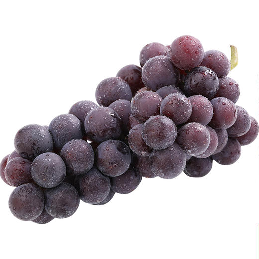 巨峰葡萄（礼盒装） 商品图0