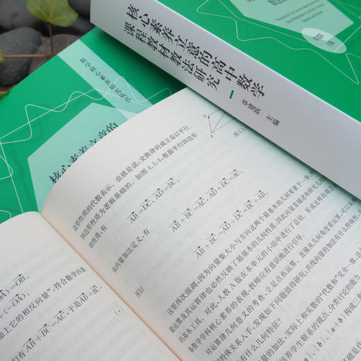 核心素养立意的高中数学课程教材教法研究 上下2册 数学核心素养研究丛书 预备知识 函数 几何与代数 概率与统计 商品图2