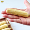 土哆哆云南西双版纳拇指小玉米软糯香甜肉质细嫩营养粗粮 商品缩略图0