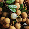 生态龙眼 | 合作生产 * Eco- longan | Coproduction 商品缩略图4