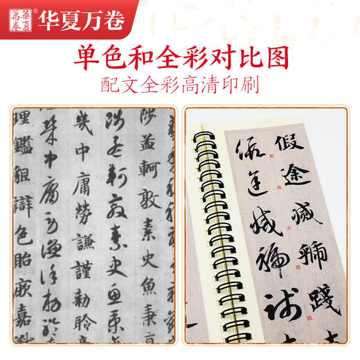 近距离临摹字卡-智永真草千字文 商品图1
