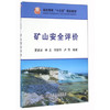 矿山安全评价/夏建波,林友,何丽华,卢萍 商品缩略图0