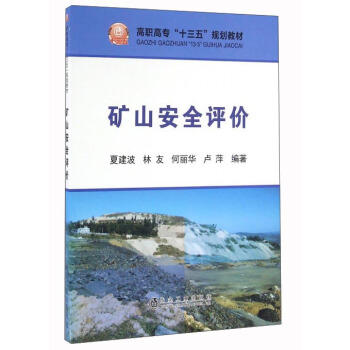 矿山安全评价/夏建波,林友,何丽华,卢萍 商品图0