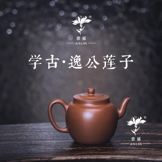 学古  逸公莲子壶 商品图0