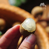 生态龙眼 | 合作生产 * Eco- longan | Coproduction 商品缩略图1