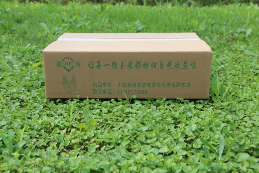 星辉彩甜糯玉米十斤装 商品图3