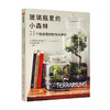 玻璃瓶里的小森林：21个微景观的制作与养护 玛蒂尔德勒利埃弗尔 著 玻璃瓶微景观 微缩于方寸之间的小小森林 商品缩略图0