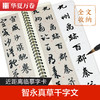 近距离临摹字卡-智永真草千字文 商品缩略图2