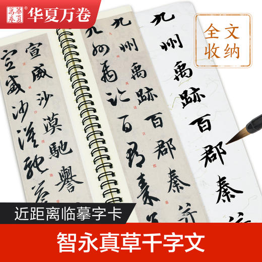 近距离临摹字卡-智永真草千字文 商品图2