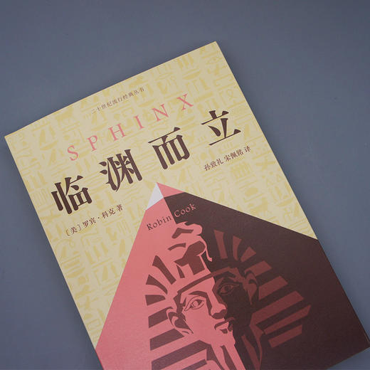 临渊而立 二十世纪流行经典丛书 美国畅销书作家罗宾科克代表作3000988 商品图2