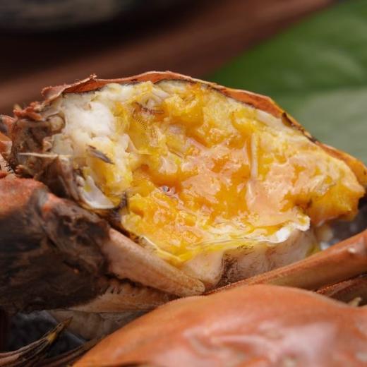 阳澄湖六月黄大闸蟹4对装不分公母