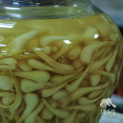 生态腌制藠头 | 绿家自产*Eco-pickled allium chinensis | Self-production 商品图4