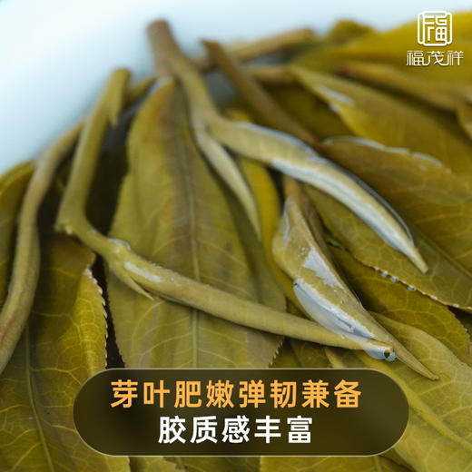 积分兑换/整提购【茶王树】2021年春茶丰茂系列云南普洱生茶易武200大树普洱茶饼357g*5饼 商品图3