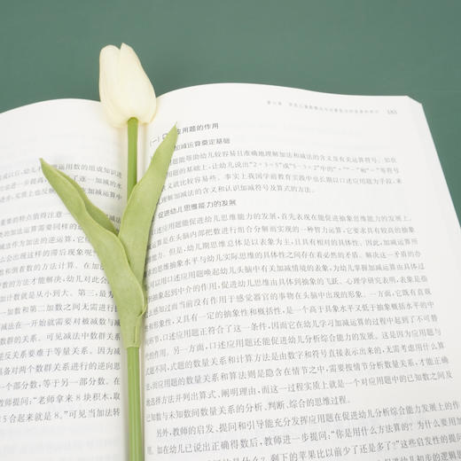 【黄瑾著】学前儿童数学教育与活动指导 第四版 学前教育专业系列教材 数学教学 理论流派研究 概念与运算能力发展 商品图3