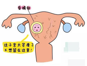 人流内膜如何修复，36位大咖谨献七大干货错过再无