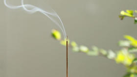 辟温香用户反馈~~ | 预售最后2天