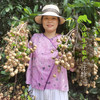 生态桂圆肉| 合作生产* Eco dried longan | Coproduction 商品缩略图1
