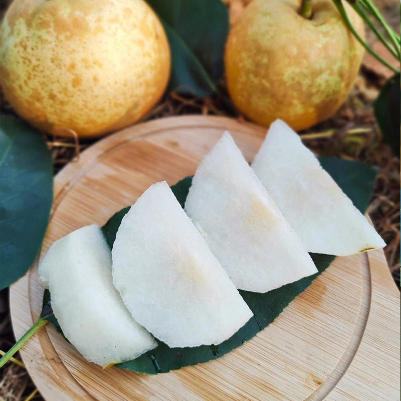 【下单后48小时发货】连州水晶梨(果大玲珑心,爽脆汁丰盈)5斤精选礼盒