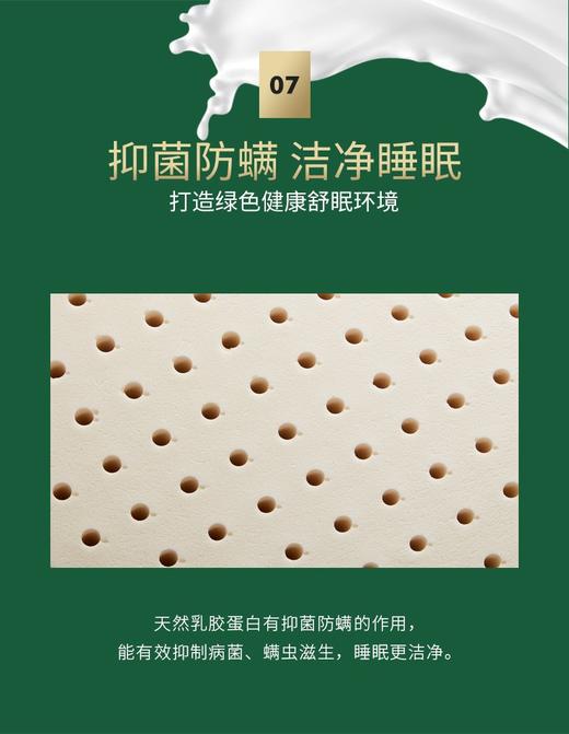【6F】富安娜斯里兰卡乳胶枕 商品图10