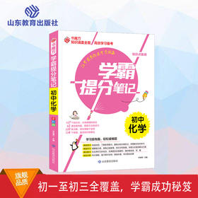 学霸提分笔记 初中化学