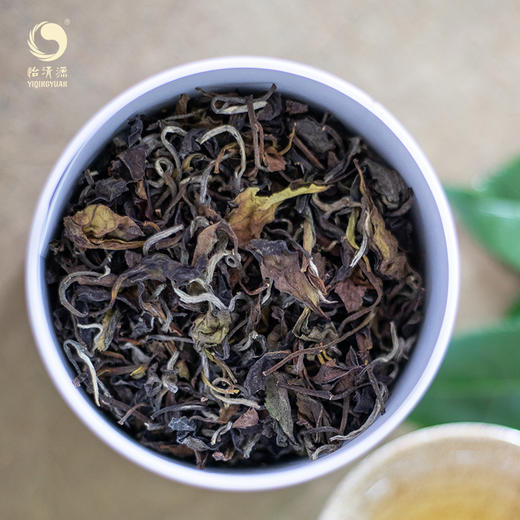 甄爽白茶50g 白茶茶叶清爽爽口赠品送礼 商品图1