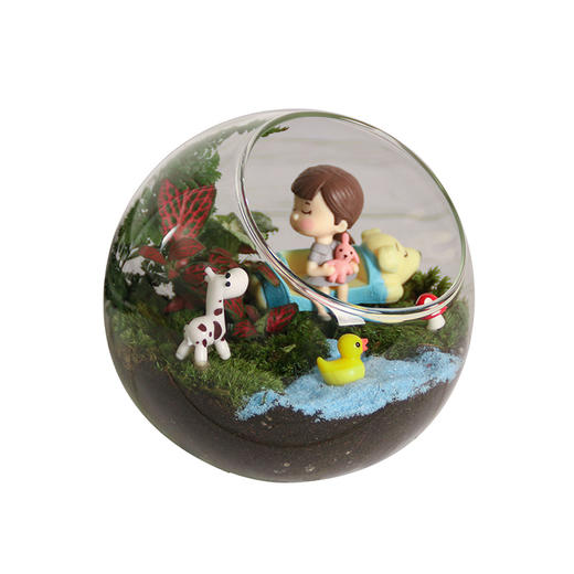 弗劳尔植物DIY课程2节＋植物植物管家上门为业主家绿植养护服务 商品图1