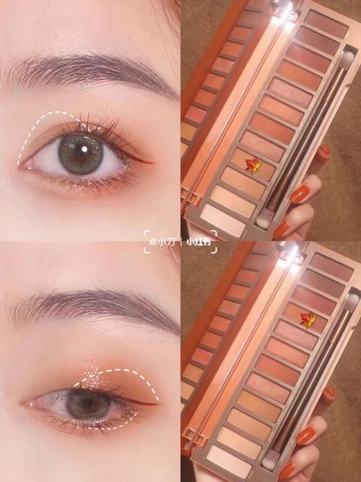 美国Naked UrbanDecay衰败城市12色眼影Heat 南瓜眼影盘 商品图4