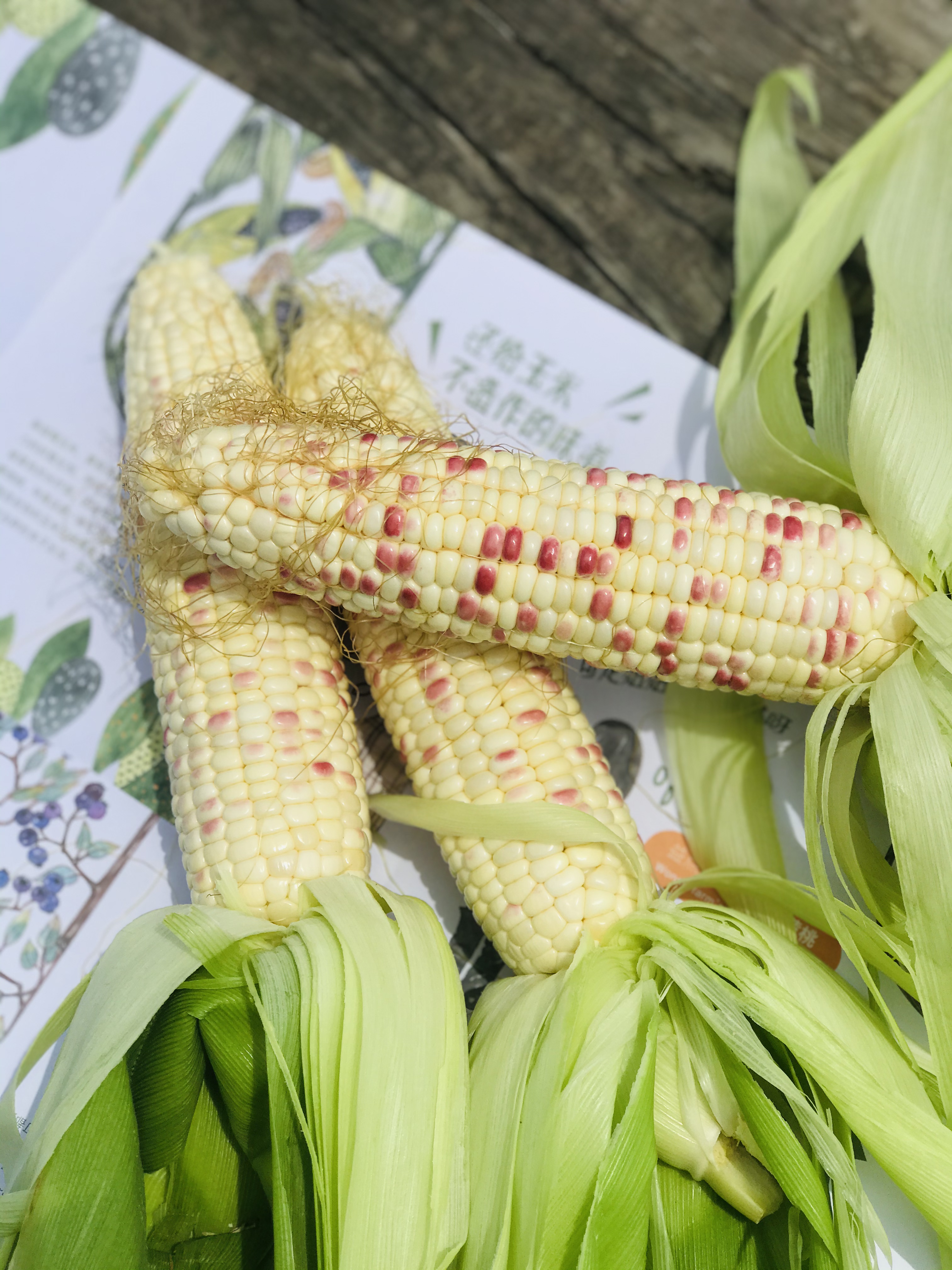 10月新茬益点田甜糯玉米热销中