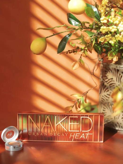 美国Naked UrbanDecay衰败城市12色眼影Heat 南瓜眼影盘 商品图2