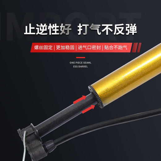 打气筒篮球自行车足球排球充气电动车车气针网袋玩具 商品图3
