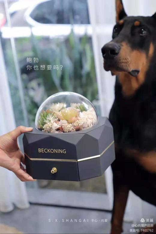 亚克力钻石盒 商品图6