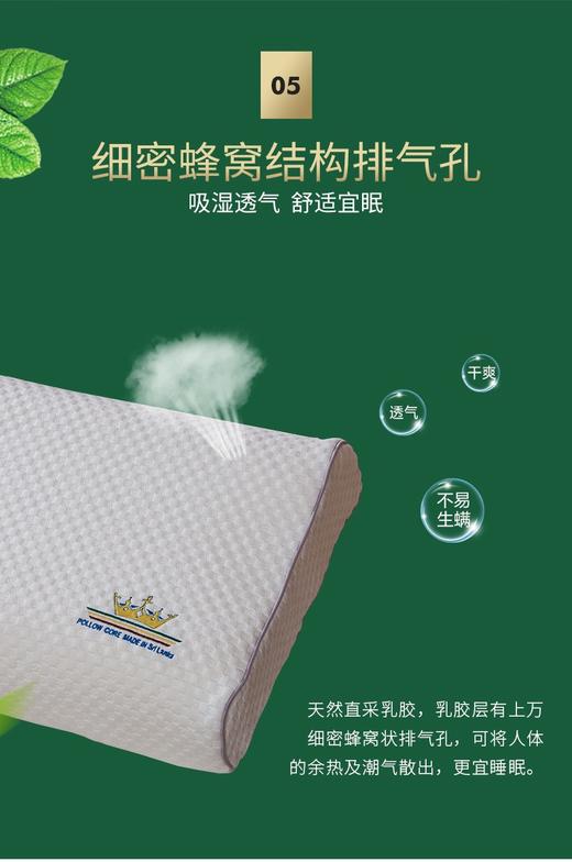 【6F】富安娜斯里兰卡乳胶枕 商品图8