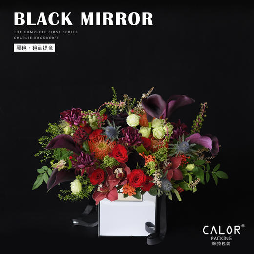 黑镜手提袋（2个/包） 商品图5