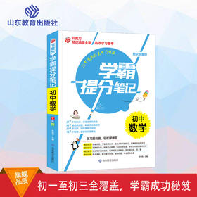 学霸提分笔记 初中数学