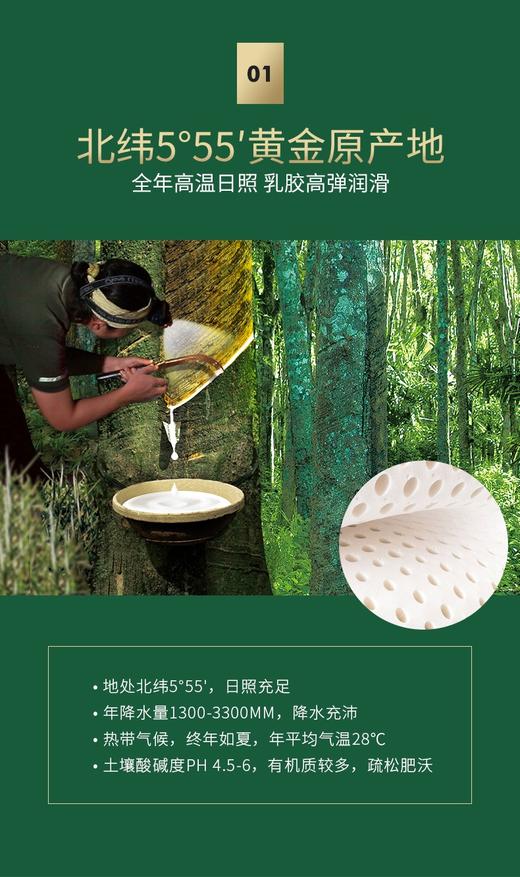 【6F】富安娜斯里兰卡乳胶枕 商品图4