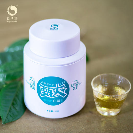 甄爽白茶50g 白茶茶叶清爽爽口赠品送礼 商品图3