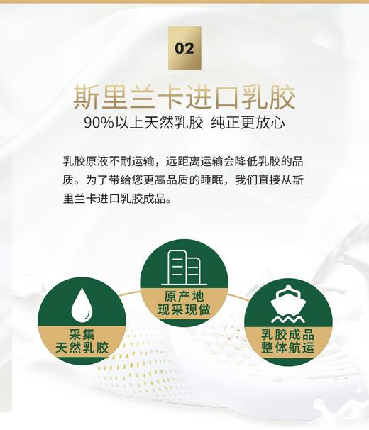 【6F】富安娜斯里兰卡乳胶枕 商品图5