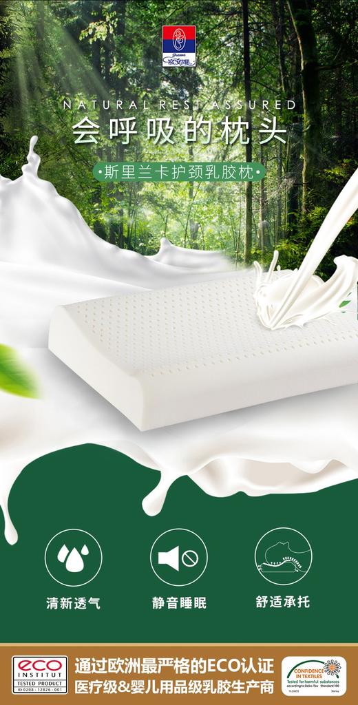 【6F】富安娜斯里兰卡乳胶枕 商品图3