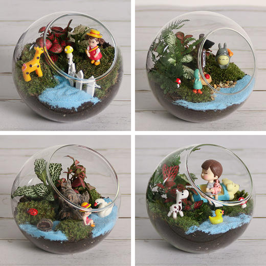 弗劳尔植物DIY课程2节＋植物植物管家上门为业主家绿植养护服务 商品图2