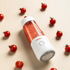 Vitamer便携式榨汁机  VIT-S005 VTM  JDWZ 商品缩略图1