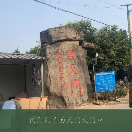 南天门 2021春纯料生普200g 中缅边境临沧耿马县佤族 限500饼 商品图14