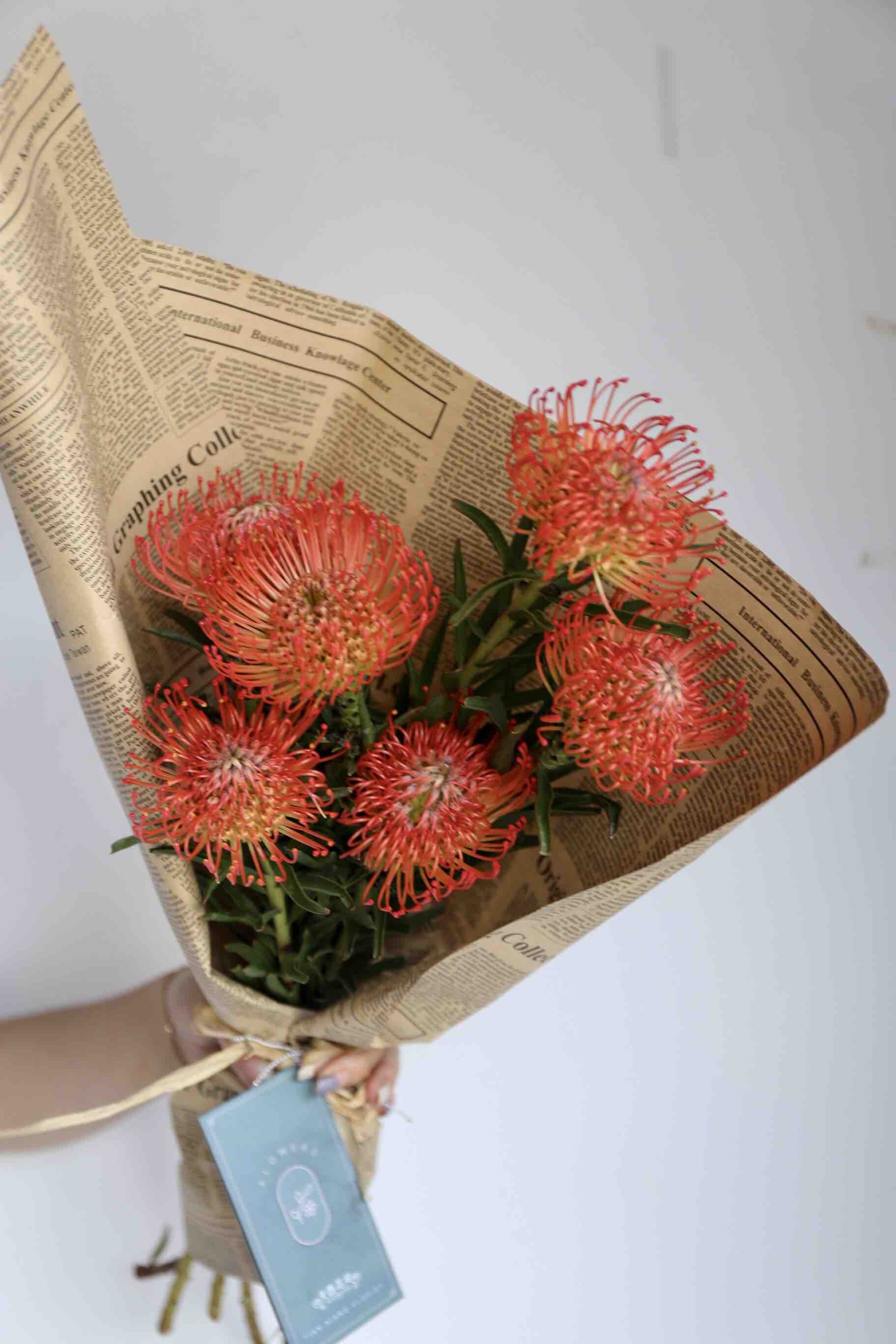 每周一花高端花卉针垫