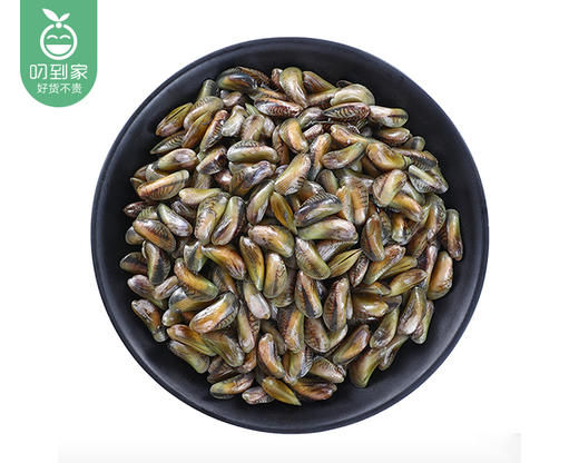 【叼鲜】鲜活海瓜子/1份（约350g） 商品图3