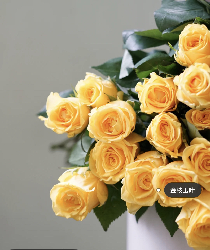 单头玫瑰 金枝玉叶 18支 图片仅供参考,以实物收到为准