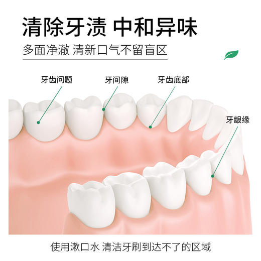 【买一赠一共40条】梵贞蜜桃漱口水 清新口气口臭清洁口腔护理 一次性便携涑口水袋装 商品图4