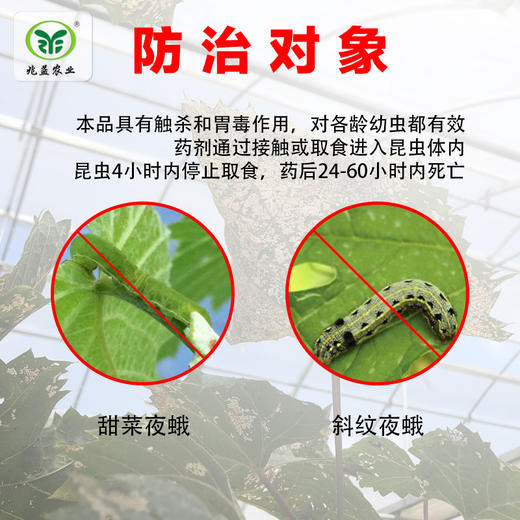 龙歌（30%茚虫威SC） 除虫迅速 不影响果面 商品图2